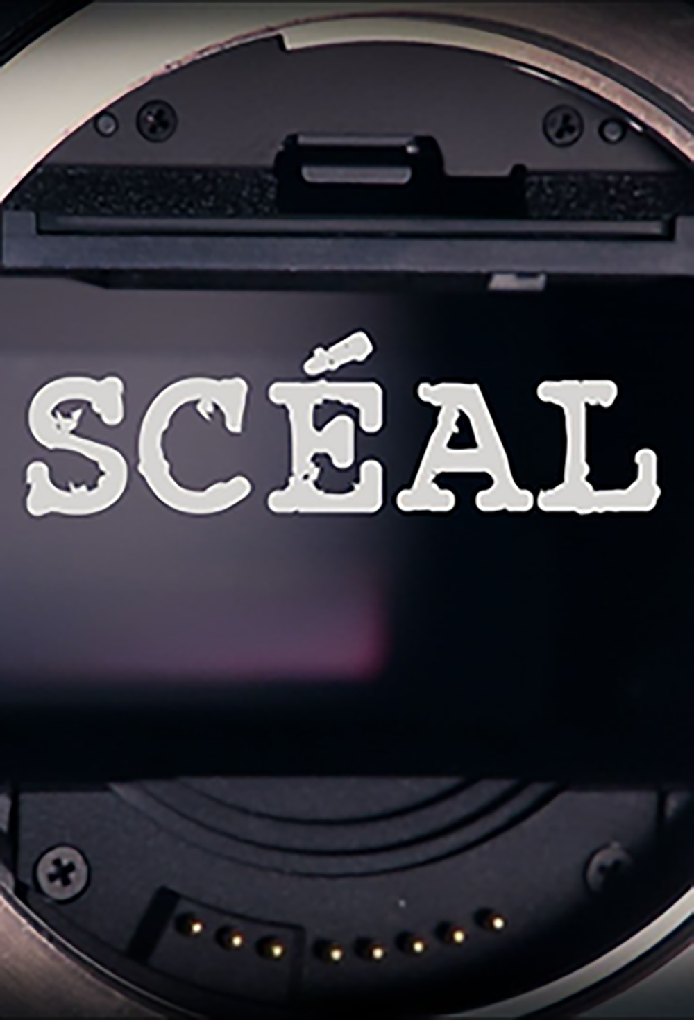 Scéal